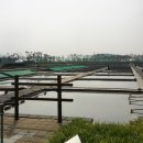 갯골안2 이미지