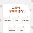 왜관동물병원 이미지