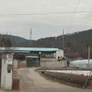 스테이 만천 | 의성 애견동반펜션 : 스테이만천 (독채펜션, 개별운동장)