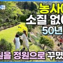 새한주 이미지