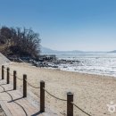 에떼르모 이미지