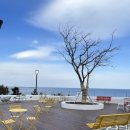 메디팜고성왕약국 이미지