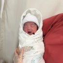 석현로 46번길6 | [출산후기]천안아산 삼성미즈산부인과 제왕절개 출산후기 및 5박6일 입원기록