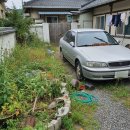 당진농협주유소 이미지