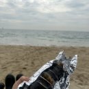 풍만김밥 이미지