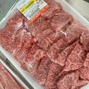 니코복코 | 여름의 맛 💚