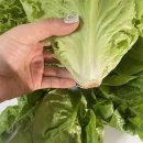 시월에농장 이미지