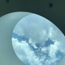 그레이스830 이미지