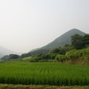 엘림환경 이미지