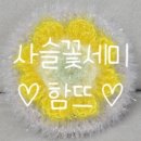 꽃세미