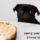 베네치아북항점 | 북항베네치아 1월달 에코도전 13900원 다녀온후기