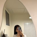 인셉트 이미지