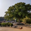 부성사