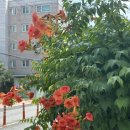 익산 고즈넉한 분위기의 한옥 카페ㅣ디저트맛집ㅣ더블유하우스