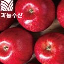 자연농수산 네이버블로그