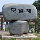 모암제 이미지