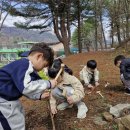 실내초등학교 이미지