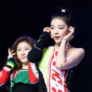 퍼펙트바디 이미지