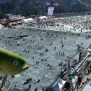 2025 얼음나라 화천 산천어축제 개막식 이미지