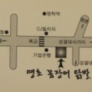 땡초네 이미지