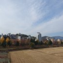 죽림석유 이미지