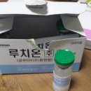 신델라 백옥주사 마늘주사 태반주사 이미지