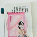 자인스 이미지