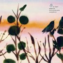 [여유당] 우리는 찌르레기입니다 이미지