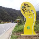 풍천강장어 이미지