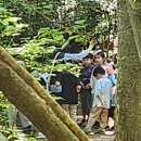 퇴계연꽃어린이집 이미지