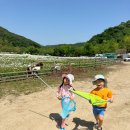 밤별2 캠핑장 | 충주 밤별캠핑장 후기, 우리가족 첫 캠핑 체험
