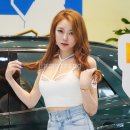 오토레인