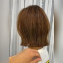 공작미용실 이미지