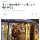 돼지포차 - 김포시 율생로 17 | 돼지포차