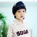 민트도그 이미지