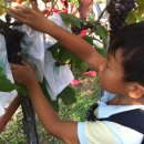 백천농장 이미지