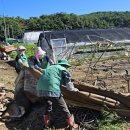 합천농자재 이미지