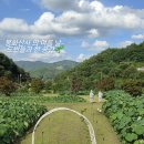 하늘북 (천고송) 이미지
