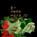 사천만 이미지