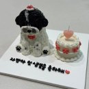 미미펫푸드 | 창원 강아지 생일케이크, 미미펫푸드 입체케이크 후기