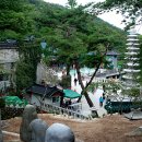 도선사