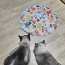 호호냥(Hohonyang) 이미지