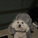 유명당