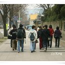 이쁜사람들 Daum카페