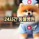 24시 인천동물병원 치료해주오 | [강아지 육아일기] 24시 동물병원 리스트
