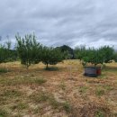 학하농장 이미지