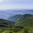 지리산 티스토리