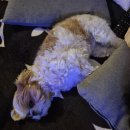 둔산송도외과의원 이미지