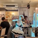 나의메이드 | [일본] 도쿄 신주쿠 놀거리 메이드카페 추천 메이드리밍 가격 후기