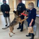 개과천선 이미지